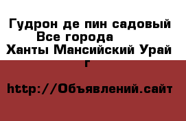 Гудрон де пин садовый - Все города  »    . Ханты-Мансийский,Урай г.